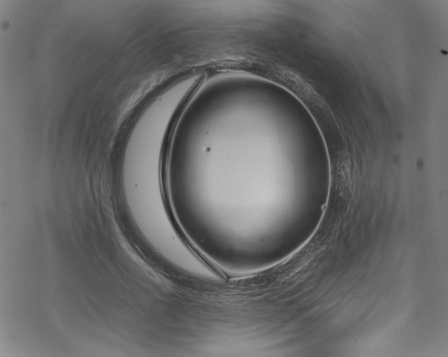 X0000070190734200606021056