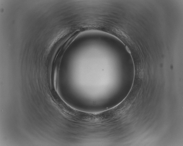 X0000070190735200606021056