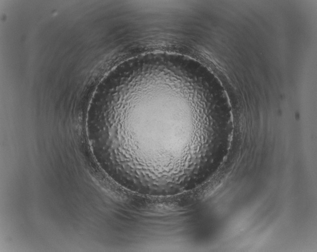 X0000070190737200606021057