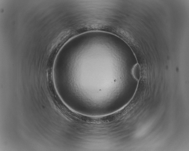 X0000070190738200606021057