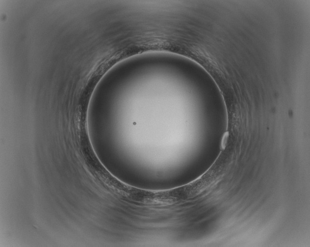 X0000070190739200606021057