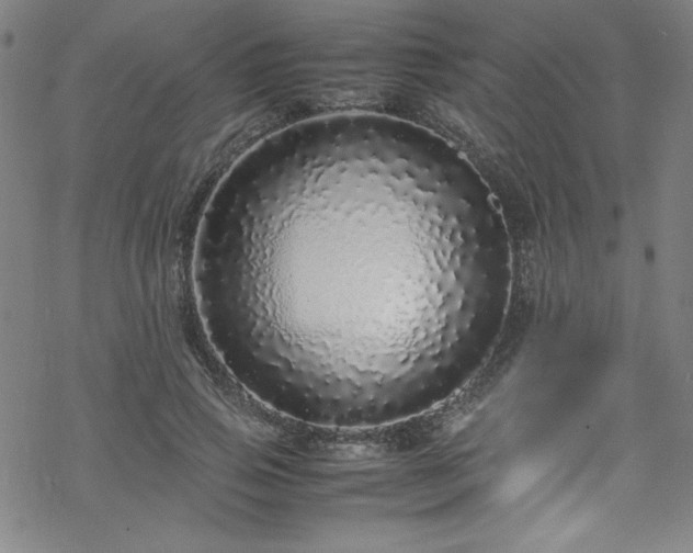 X0000070190741200606021057