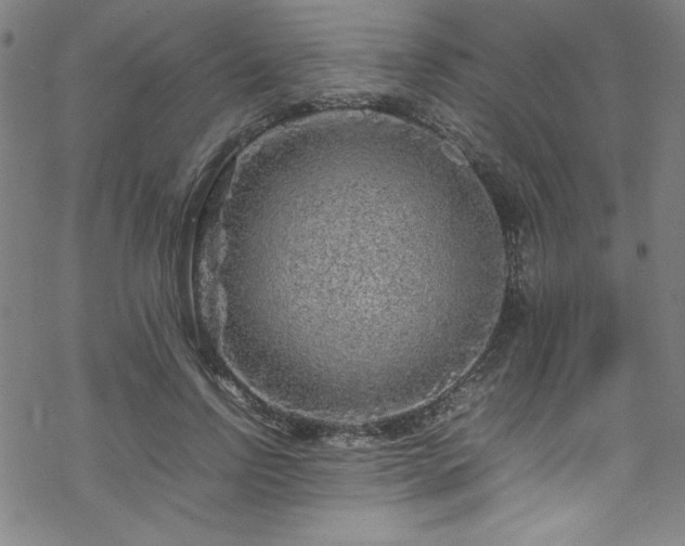 X0000070190742200606021057