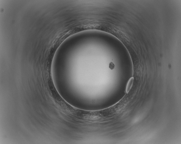 X0000070190743200606021057