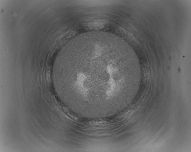 X0000070190745200606021057