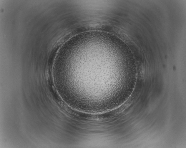 X0000070190746200606021057