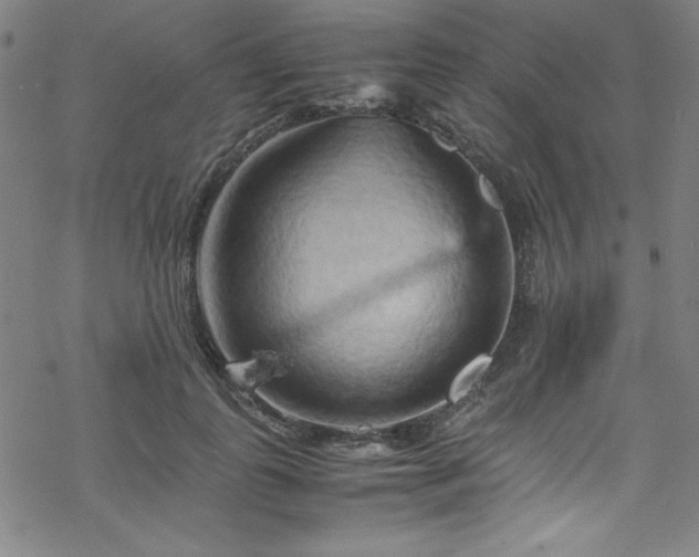 X0000070190747200606021057