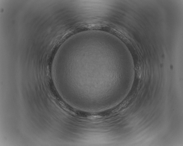 X0000070190748200606021057