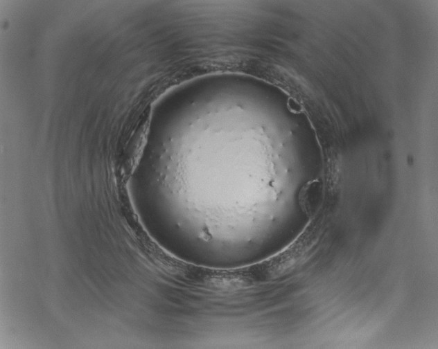 X0000070190749200606021057