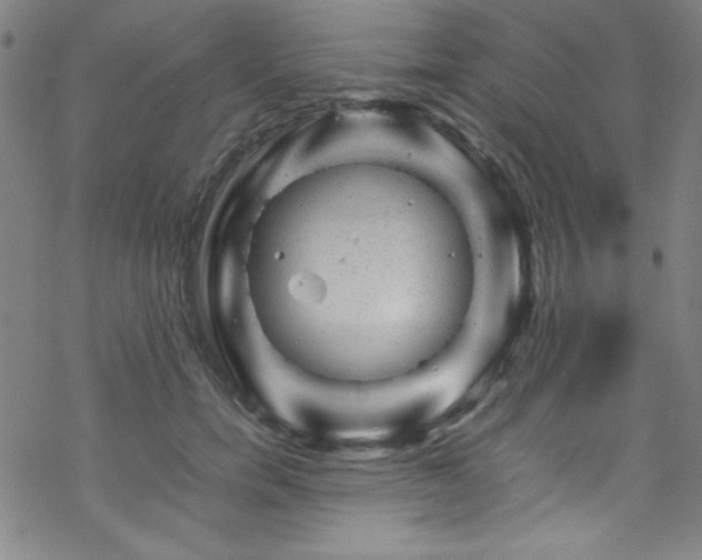 X0000070190750200606021057