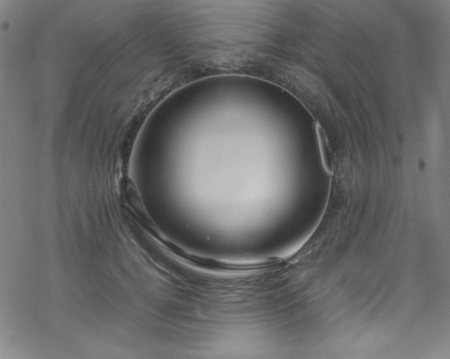 X0000070190752200606021057