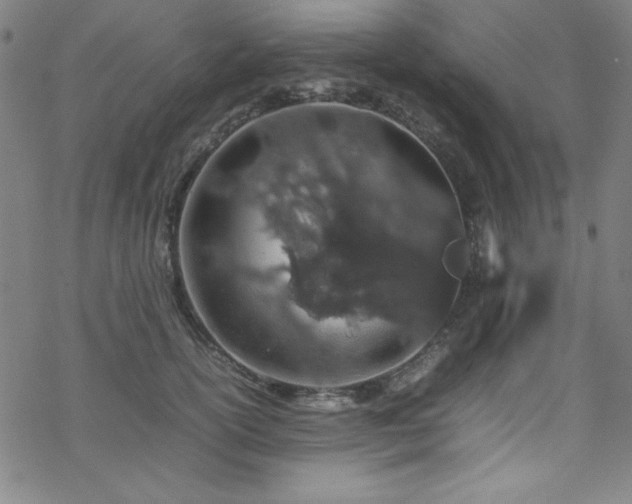 X0000070190754200606021057