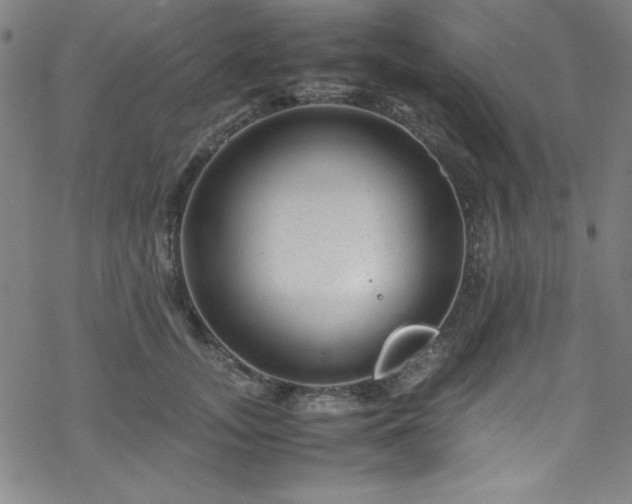 X0000070190755200606021057