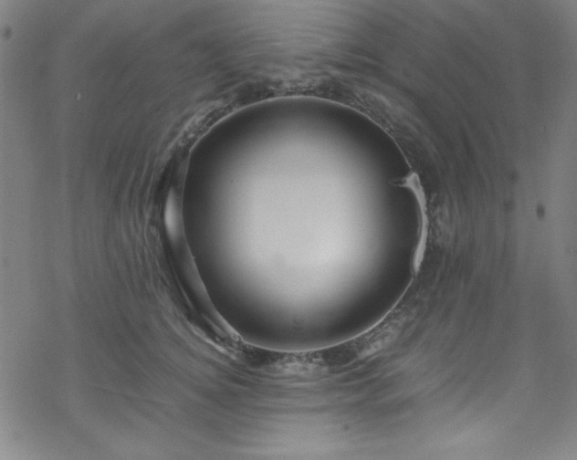 X0000070190756200606021057