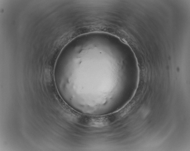 X0000070190757200606021057