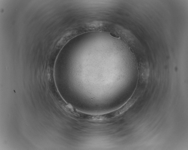 X0000070190758200606021057