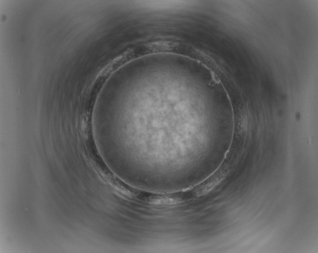 X0000070190759200606021057