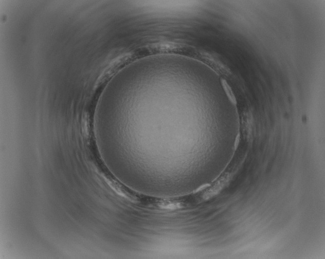 X0000070190760200606021057