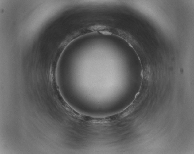 X0000070190763200606021057