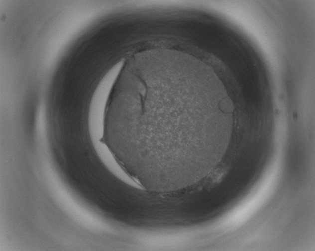 X0000070190765200606021057