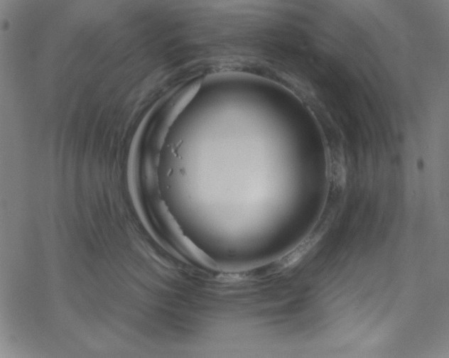 X0000070190766200606021057