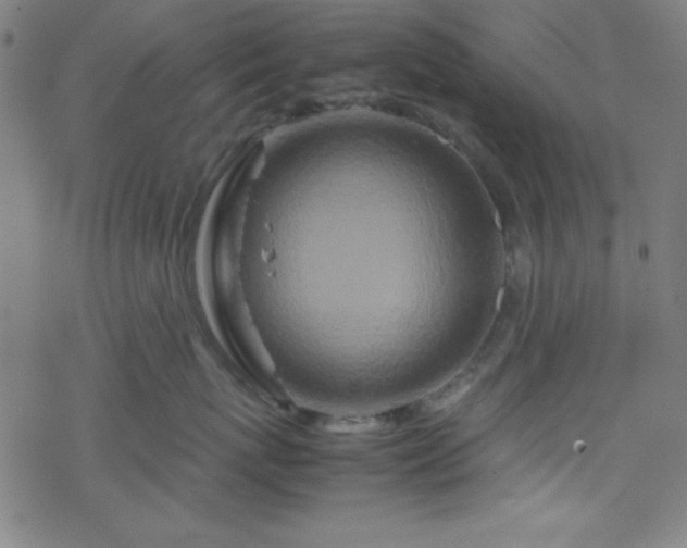 X0000070190767200606021057