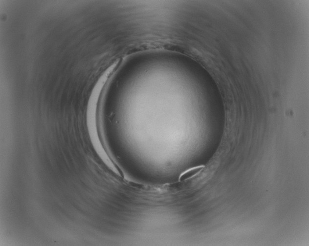 X0000070190768200606021057