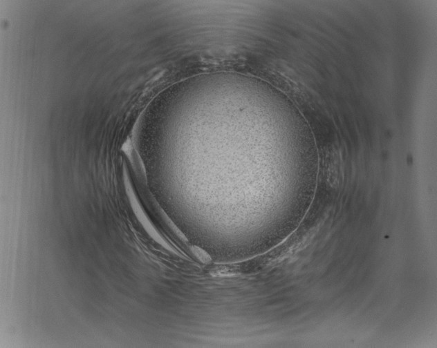 X0000070190770200606021056