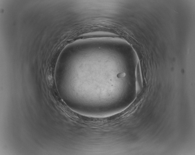 X0000070190771200606021056