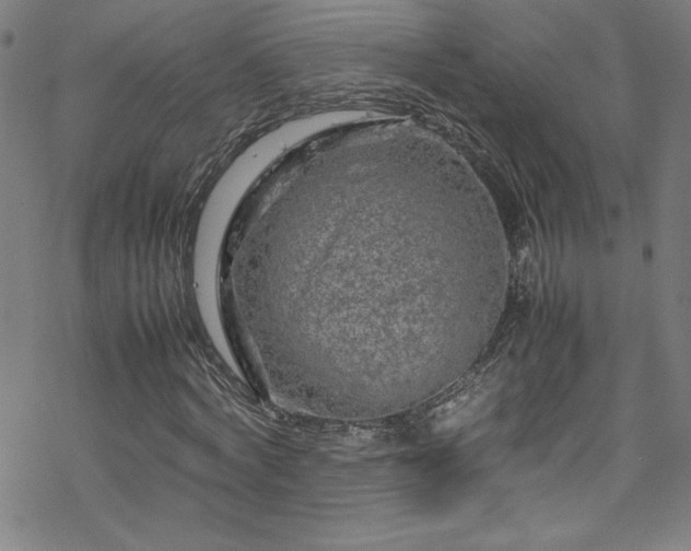 X0000070190772200606021056