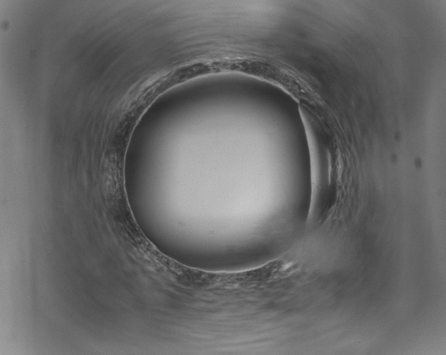 X0000070190773200606021056