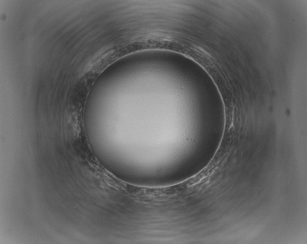 X0000070190774200606021056