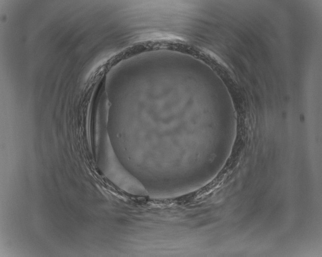 X0000070190775200606021056