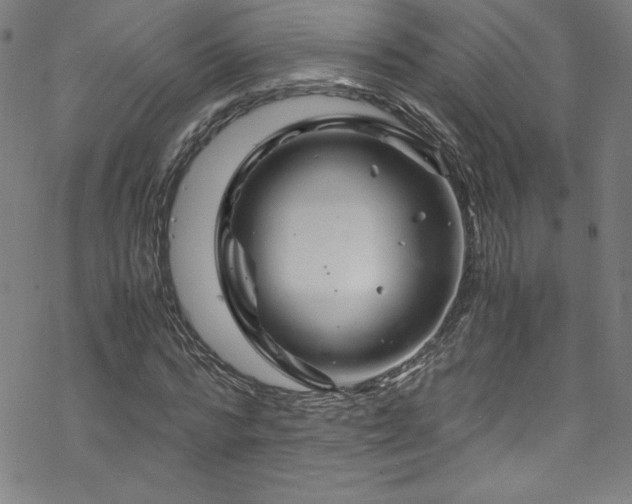 X0000070190776200606021056