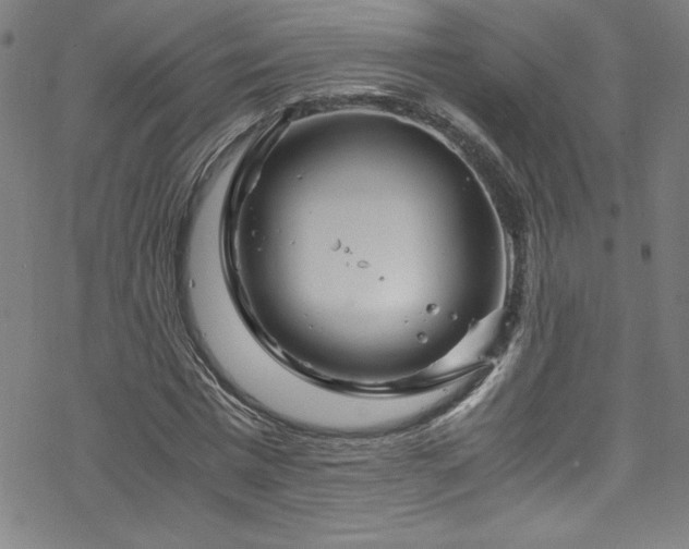 X0000070190777200606021056