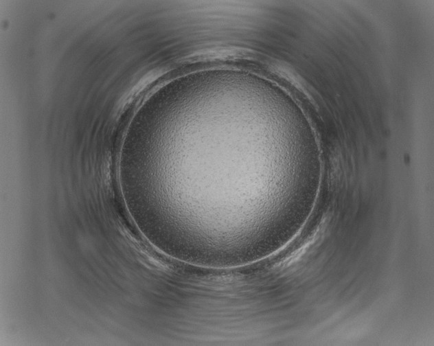 X0000070190778200606021056