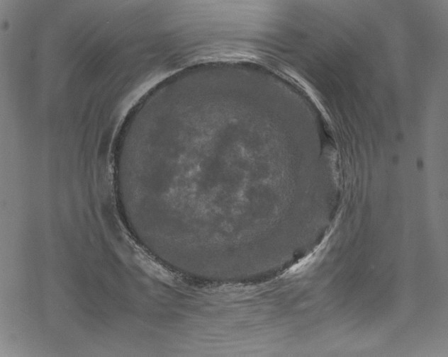 X0000070190779200606021056