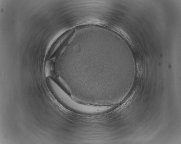 X0000070190780200606021056