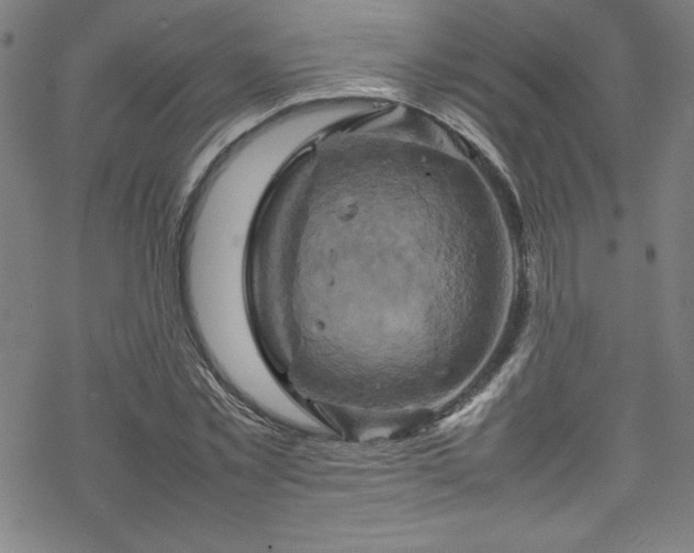 X0000070190781200606021056