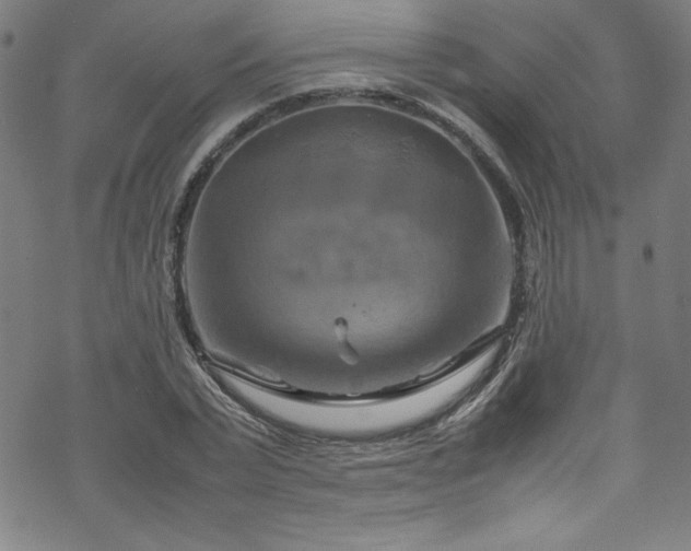 X0000070190783200606021056