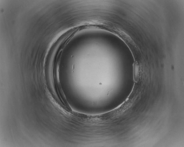 X0000070190784200606021056