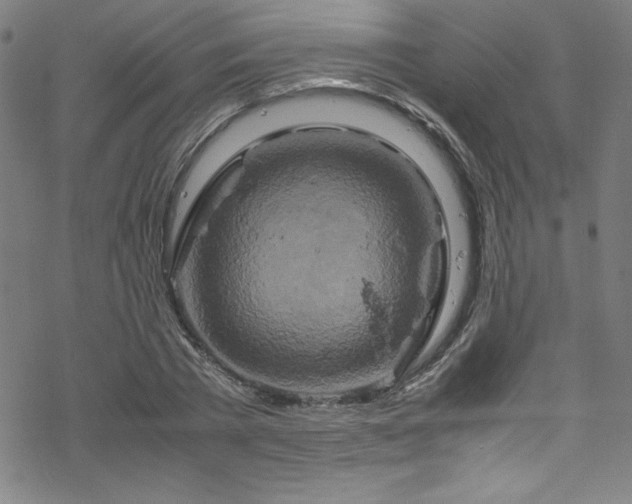 X0000070190785200606021056