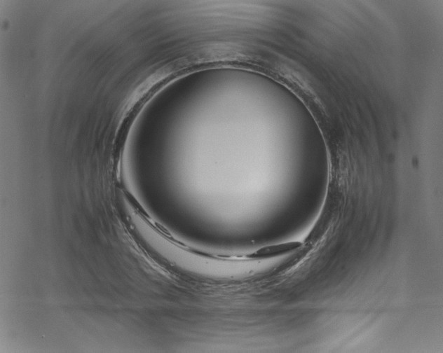 X0000070190786200606021056