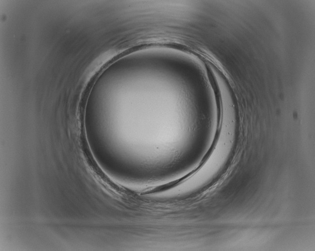 X0000070190787200606021056