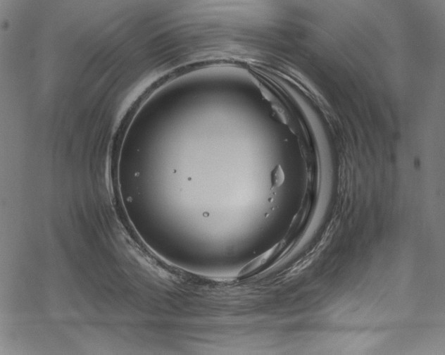 X0000070190788200606021056