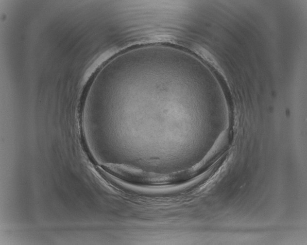 X0000070190789200606021056