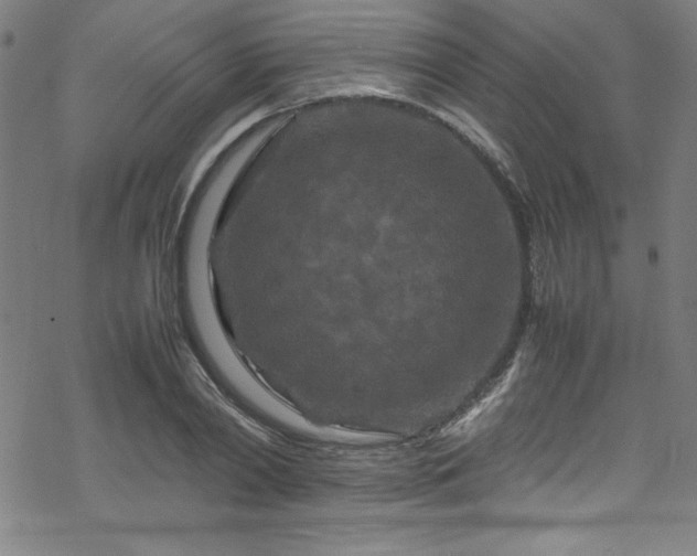 X0000070190790200606021056