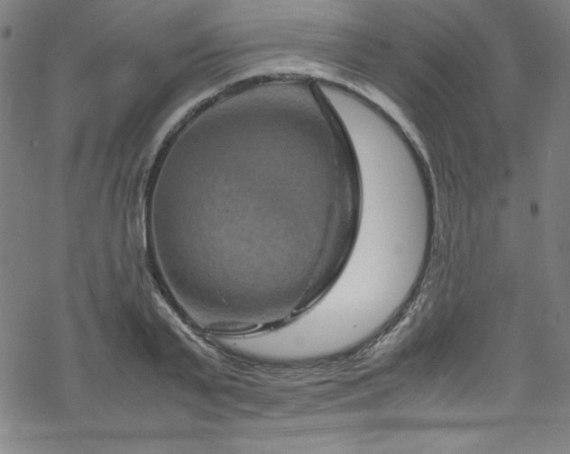 X0000070190791200606021056