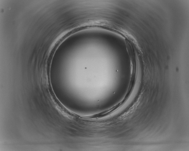 X0000070190792200606021056