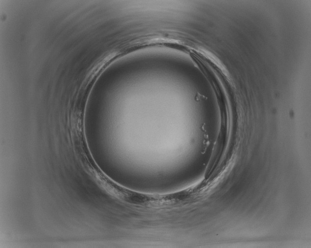 X0000070190793200606021056